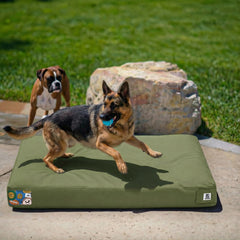 Cama Sytopia para perros impermeable de lona, ideal para uso exterior y patios.