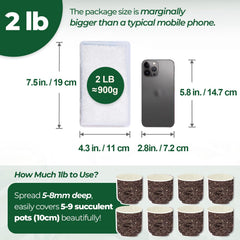 T4U quartz clair – chips décoratives pour plantes d'intérieur