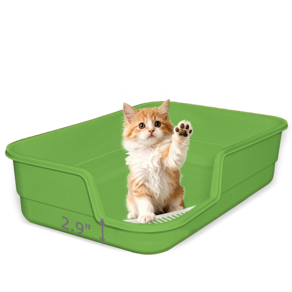 TAILRYTH caja extragrande con entrada baja facilita entrada para gatos pequeños.