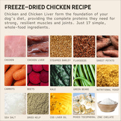 Tally's Ranch perro comiendo deshidratado, entrenamiento de alto valor posible