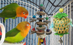 Juguete TANOMA para aves, ideal para el forrajeo y la exploración diaria en jaula.