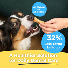 Galletas dentales Tartar Shield, textura crujiente para higiene bucal diaria.