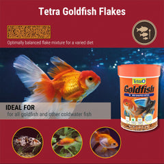 Tetra forma gusano, porciones fáciles para alimentar a dorados