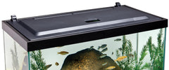 Tetra Hood 24x12 interior con luces que simulan luz diurna para peces.