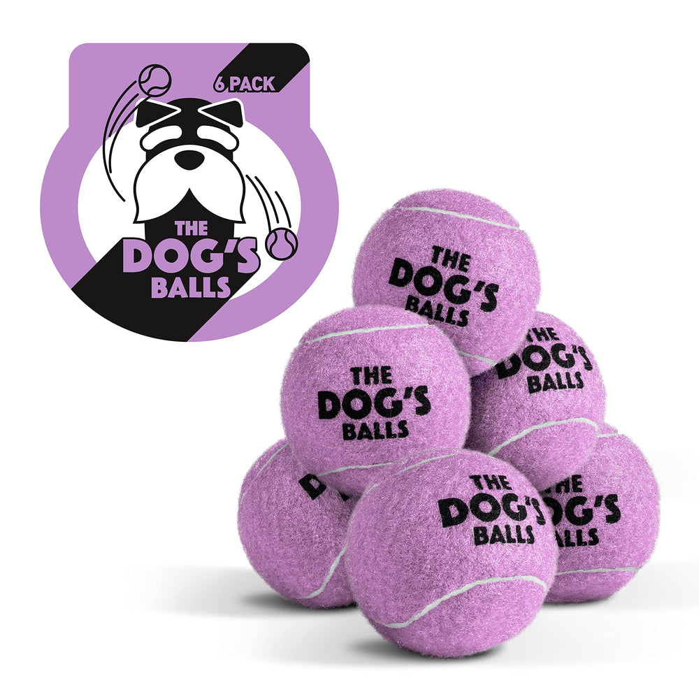 The Dog's Balls bola para perro pequeño en color púrpura, ideal para sesiones de fetch.