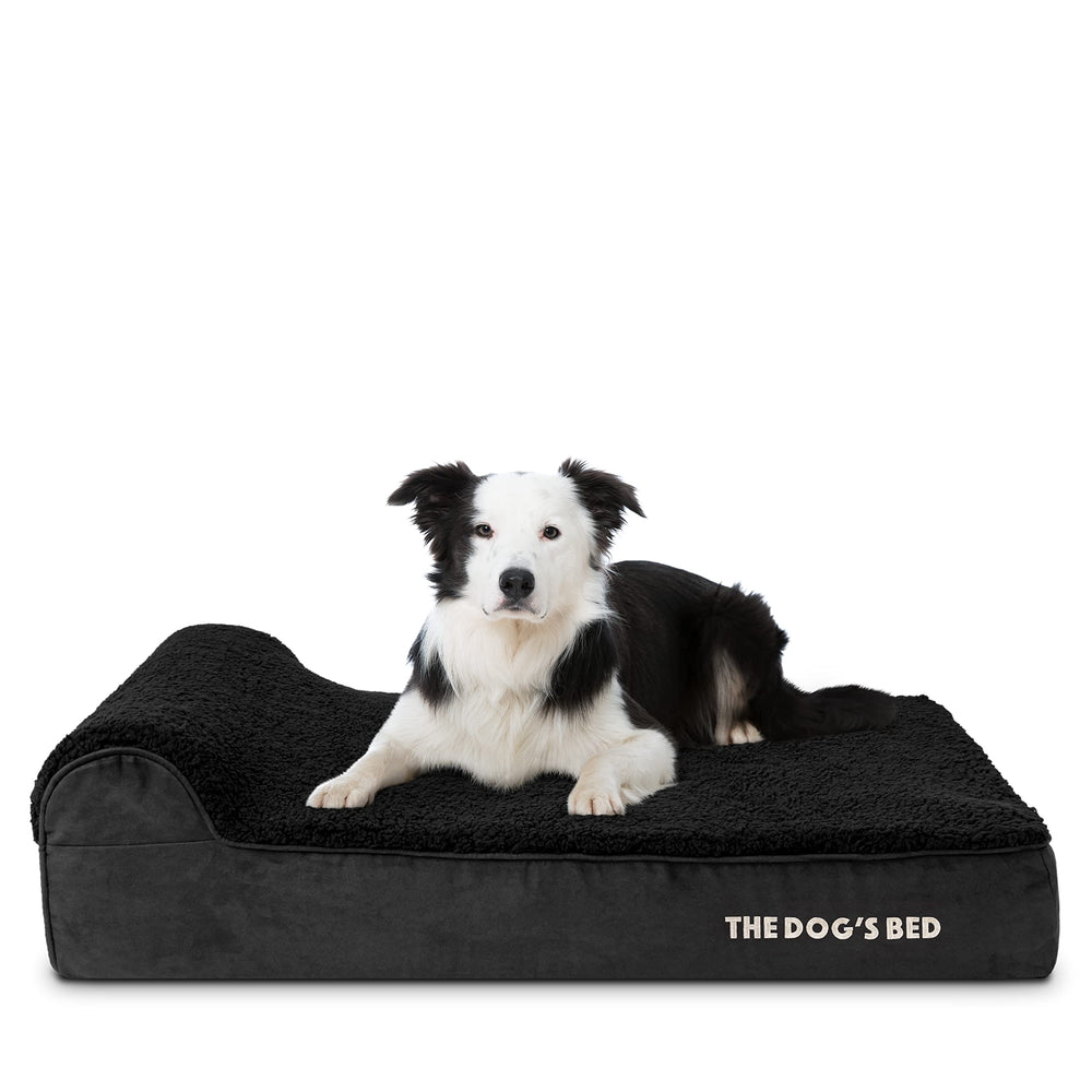 The Dog's Balls cama ortopédica para perros con espuma de memoria y cabecera acolchada