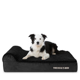 The Dog's Balls cama ortopédica para perros con espuma de memoria y cabecera acolchada