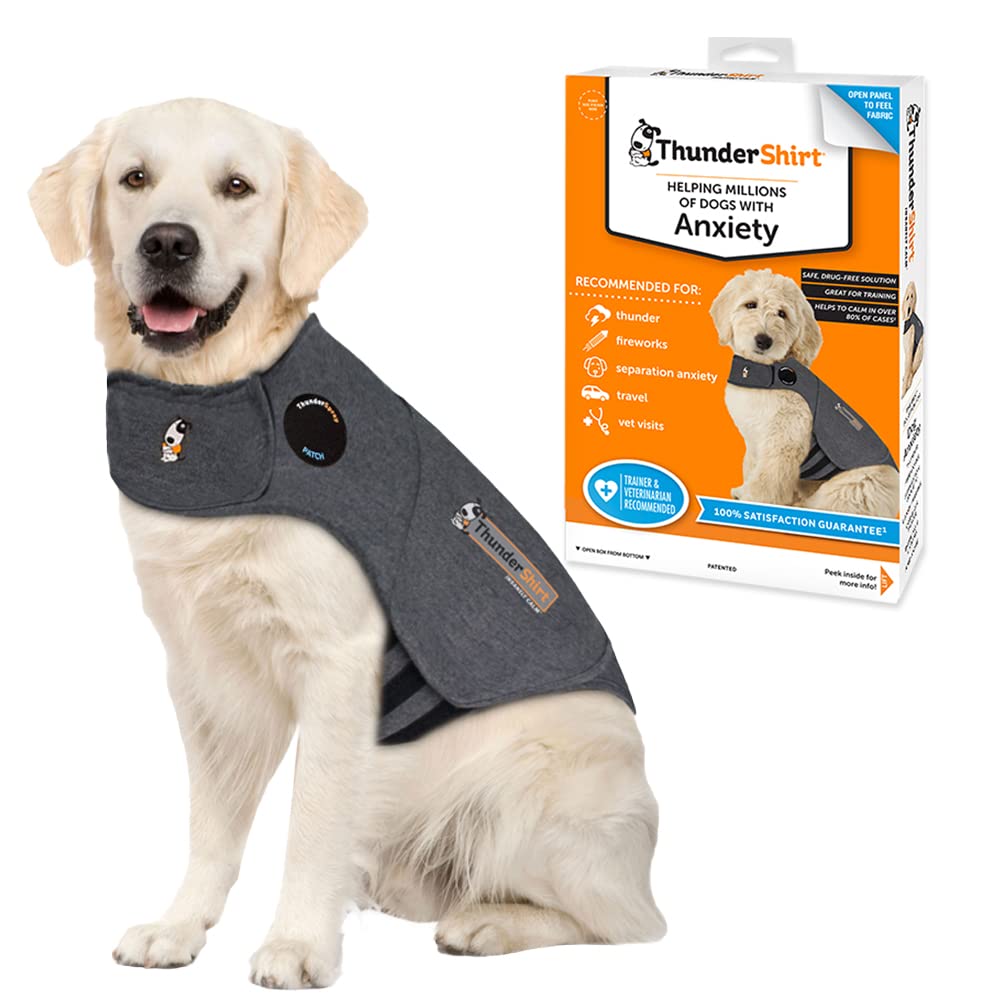 ThunderShirt para perros en uso, cintura calmante para tranquilidad diaria.