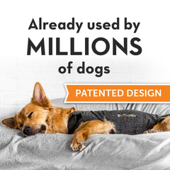 ThunderShirt con correas de ajuste para un ajuste cómodo.