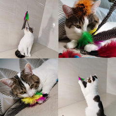 TIENAILING diez piezas de plumas para estimular juego en gatos