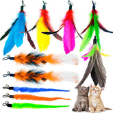TIENAILING recambios de plumas para gatos para mantener la diversión