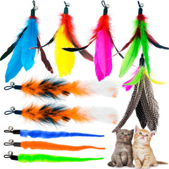 TIENAILING recambios de plumas para gatos para mantener la diversión