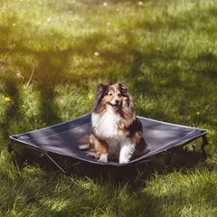 TIMBER RIDGE cama para perros elevadas con malla transpirable para descanso fresco.