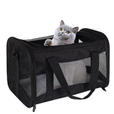 Top tasta transportín gato, aire aprobado, ideal para cabina de avión.