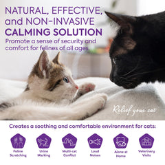 TopSum kit valor: difusor y recambios para tranquilidad de zonas de la casa.