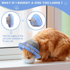 Bordes plegables de Toptakeit mantienen la visión del gato sin obstrucciones.