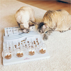 TRIXIE Fun Board: cinco compartimentos ajustables para desafiar al felino