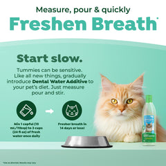 TropiClean aliento fresco doce horas gato.