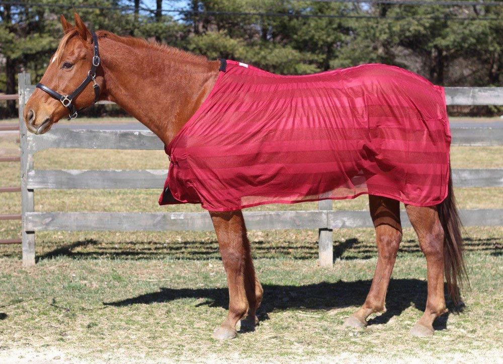 TuffRider Scrim Sheet burgundy frente, ajuste cómodo para montar