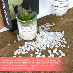 Twdrer: piedras-de-cristal-para-decoracion-en-plantas ofrece un acabado translúcido
