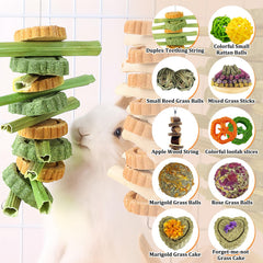 Tyotrbs Estimulacion mental animales pequeños — juego y exploración