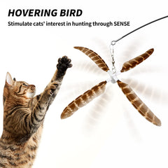 uahpet mariposa tricolor, movimiento visual que capta la atención del gato.
