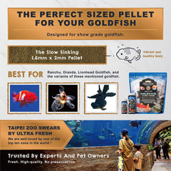 Ultra Fresh Coloración Goldfish: mejora de coloración con nutrientes equilibrados.
