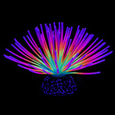 Uniclife erizo mar arcoiris bola: decoración colorida segura para el acuario y atractiva.