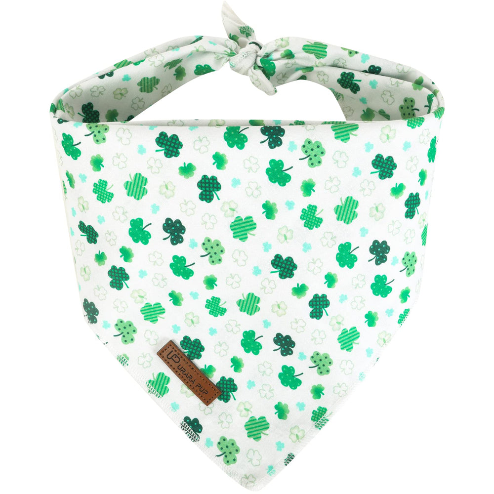 Pañuelo triangular UP URARA PUP en perro pequeño con trébol verde para San Patricio.