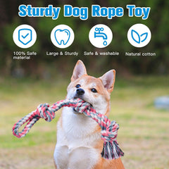 Juego interactivo UPSKY para perros, fomenta ejercicio y vínculo