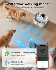 Vacqueen bebedero-filtro-5-etapas, agua más limpia para perros y gatos.