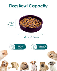 Vancasso cerámica sin plomo y esmaltada, superficie higiénica para mascotas.