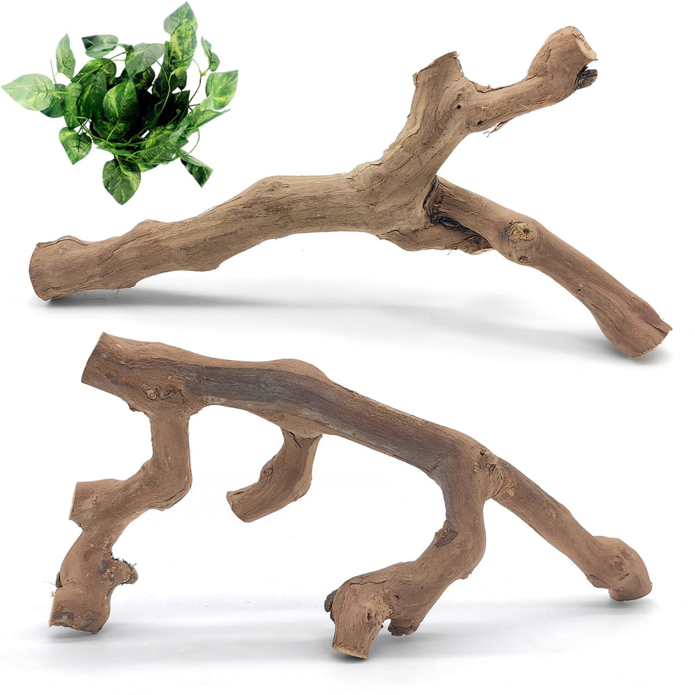 Rama trepadora VCEPJH para terrario, conjunto de 2 piezas, ideal para trepar y refugiar.