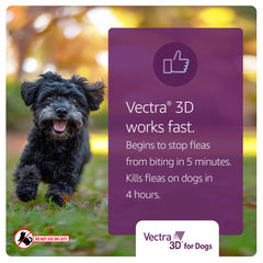 Vectra 3D protege contra pulgas, garrapatas y mosquitos.