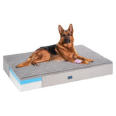 Veehoo cama ortopédica: superficie felpa suave para comodidad diaria de perros grandes.