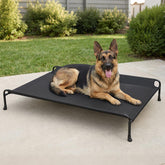 Cama para perros Veehoo con cabecera elevada para mayor comodidad