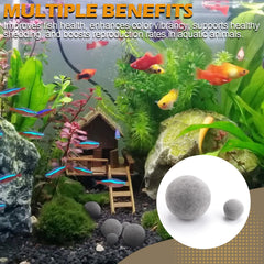 Verplexter Tourmalina para camarones: ambiente acuático enriquecido y colores vivos