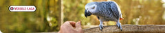 Versele-Laga VL Goldenfeast Amazon Blend, servir-en-plato para aves con variedad.