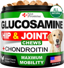 Vet Promise Glucosamina para perros en movimiento, mejora la movilidad diaria.