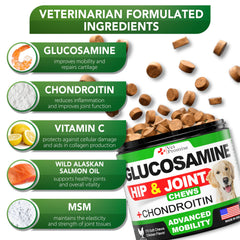 Vet Promise MSM para articulaciones de perro, ayuda a la flexibilidad.