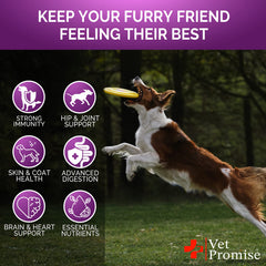 Vet Promise, multivitamínico para todas las edades y tamaños de perro