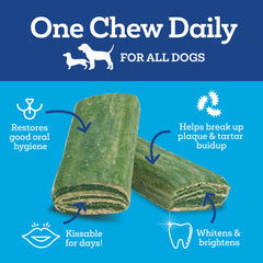 Vetality masticables dentales para perros, textura de cepillado profundo para dientes.