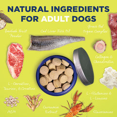 Vetericyn All-in-1 probióticos y DigeSEB para absorción de nutrientes