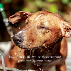 Veterinary Formula Clinical Care champú para pelaje, lavado suave para piel sensible y saludable