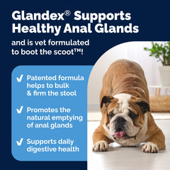 Glandex enzimas digestivas, apoya la descomposición de alimentos y bienestar intestinal.