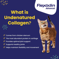 Imagen de ingredientes clave, omega-3 y vitamina E de Flexadin Avanzado.