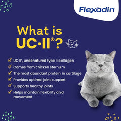 Vetoquinol Flexadin Cat UC-II ingrediente clave para el soporte articular