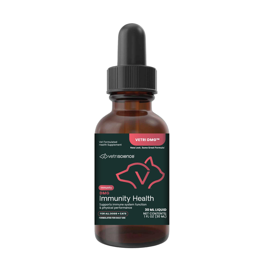 VetriScience DMG: botella con cuentagotas para apoyo inmunitario en mascotas.