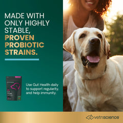 VetriScience Gut Health Chews envase, opción conveniente para probióticos caninos.