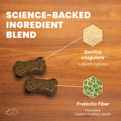 VetriScience Gut Health Chews perro comiendo, sabor pato facilita la suplementación diaria.